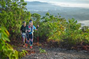 BIB: 
                            <button type="button" onclick="openModal(21875948)" class="btn btn-primary btn-sm float-right btn-popup" data-toggle="modal" data-target=".modal-high-quality">
                        <i class="fas fa-shopping-cart"></i> Add to Cart
                    </button>
                                            <button type="button" onclick="isThisMe(21875948, true)" class="btn btn-success btn-sm float-right btn-popup btn-isme hidden" data-toggle="tooltip" data-placement="bottom" title="นี่คือรูปของคุณใช่ไหม คลิกที่นี่เพื่อเอาเข้าอัลบั้ม">
                        <i class="fas fa-plus"></i> Add to album
                    </button>
                    <button type="button" onclick="isThisMe(21875948, false)" class="btn btn-warning btn-sm float-right btn-popup btn-isnotme hidden">
                        <i class="fas fa-ban"></i> Remove from album
                    </button>